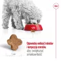 Sausā suņu barība Royal Canin Mini Adult 8+ 2 kg — mazās šķirnes 5–10 kg, mājputni, svara kontroles formula