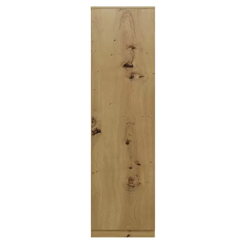 Topeshop SD-50 ARTISAN KPL bedroom wardrobe/closet 5 shelves 1 durvis(s) ozols