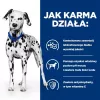HILL'S Prescription Diet Urinary Care Original - mitrā suņu barība - 370g