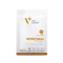 Veterinārā mitrā diēta VETEXPERT Intestinal Cat 100 g — vistas gaļa, olbaltumvielas 38%, tauki 20%, pieaugušiem kaķiem, aizkuņģa dziedzera nepietiekamība