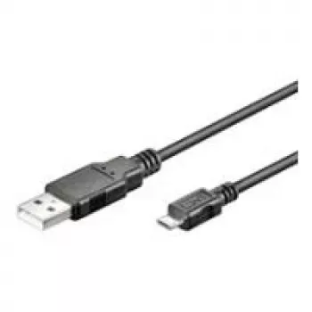 Wentronic 94181 USB kabelis melns