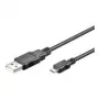 Wentronic 94181 USB kabelis melns