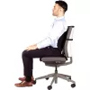 Muguras atbalsts / BACK ANGEL 8026401 FELLOWES