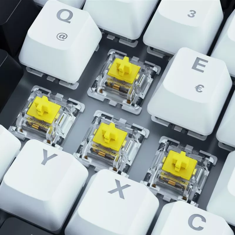 Tastatūra Sharkoon SKILLER SGK50 S3 75% Balta