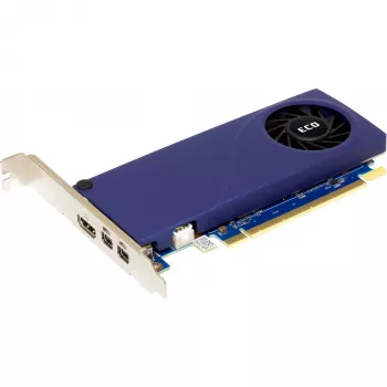 Grafikas karte Sparkle Intel Arc A310 ECO 4 GB GDDR6, PCIe 4.0 x8, 1000 MHz, 64-bitu kopne, 4K@60Hz