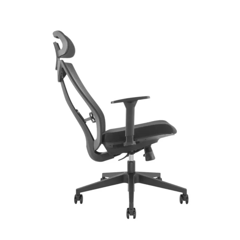 Ergonomiskais premium biroja krēsls Ergo Officer ER-414