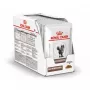 Slapjā barība kaķiem Royal Canin Gastrointestinal 85 g paciņa — gaļa, 12 x 85 g, pieaugušiem kaķiem, gremošanas problēmām