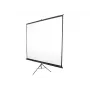 Statīva projekcijas ekrāns Elite Screens T120NWV1 3.05 m 4:3