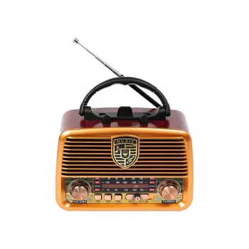 Analogais radio BLOW RA10 AM/FM saules 77-540