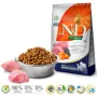 FARMINA N&D Pumpkin Lamb&Blueberry Adult Medium & Maxi - sausā barība suņiem - 12 kg