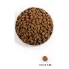 ORIJEN Regional Red - sausā barība suņiem - 11,4 kg
