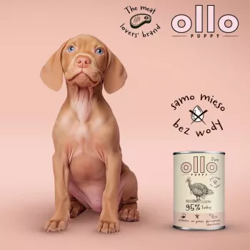 OLLO Puppy Pure Turkey - slapjā suņu barība - 400 g