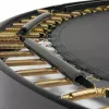 Trampolīns Salta Royal Baseground Sport 427 cm