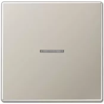 JUNG ES 2990 KO5 - Nerūsējošais tērauds - IP44