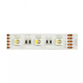 Synergy 21 LED Flex Strip 5050 - 60 RGB DC24V + RGB-W viena mikroshēma NW IP68