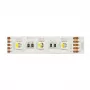 Synergy 21 LED Flex Strip 5050 - 60 RGB DC24V + RGB-W viena mikroshēma NW IP68