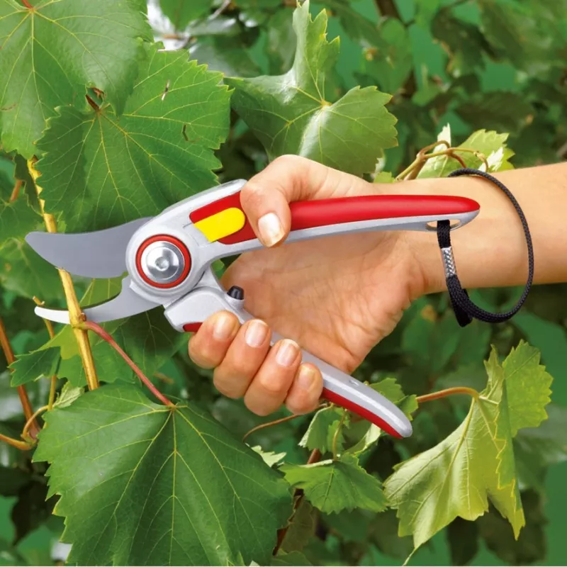Zāles pļāvējs WOLF-Garten RR 5000 ALU-PROFESSIONAL
