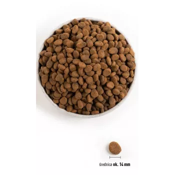 ORIJEN Regional Red - sausā suņu barība - 6kg