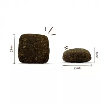 BOSCH Soft Maxi ūdensbifeļa un saldo kartupeļu sausā suņu barība - 2,5 kg