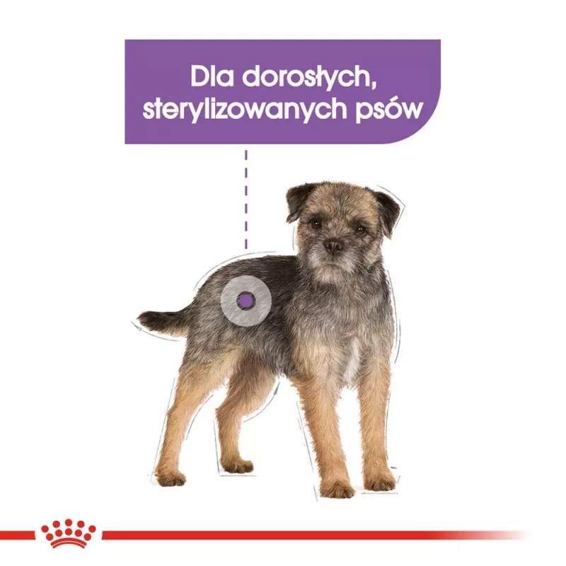 Royal Canin Mini Sterilised sausā barība pieaugušu suņu ēdināšanai, 8 kg