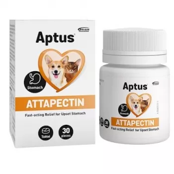 APTUS Attapectin Caureja Akūta - uztura bagātinātājs suņiem un kaķiem – 30 kapsulas