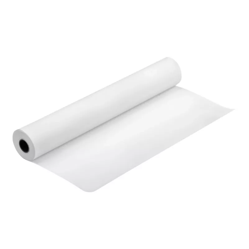 Epson Production Canvas Matte, 610mm x 12,2m, matēts audekls 320 g/m²