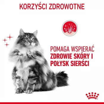 Sausā kaķu barība Royal Canin Hair & Skin Care 2 kg — vistas gaļa, pieaugušiem kaķiem, 33% olbaltumvielas, 22% tauki