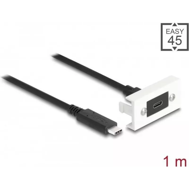DeLOCK Easy 45 modulis SuperSpeed USB 10 Gbps USB Type-C sievišķais pret vīrišķo 1m