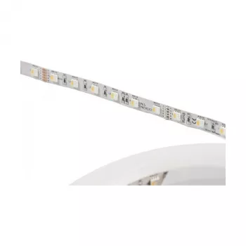 Synergy 21 LED Flex Strip 5050 - 60 RGB DC24V + RGB-W viena mikroshēma ww IP68