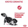 Royal Canin Digestive Care Adult sausā barība kaķiem, 10 kg, zivis, mājputnu gaļa, rīsi, dārzeņi
