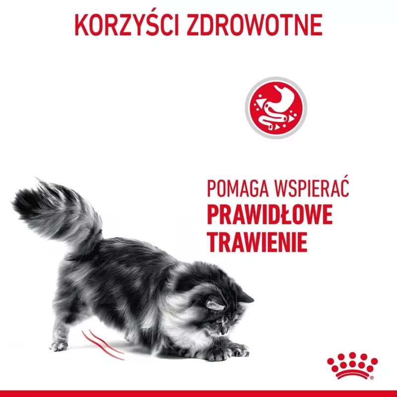 Royal Canin Digestive Care Adult sausā barība kaķiem, 10 kg, zivis, mājputnu gaļa, rīsi, dārzeņi