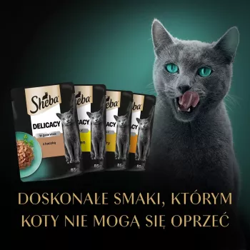 SHEBA Delicacy mājputnu garšas želejā - slapjā kaķu barība - 40x85 g