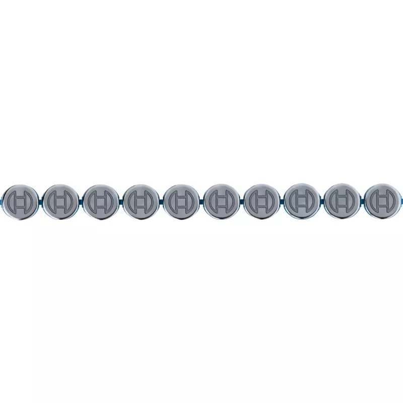 Bosch Round Head NM-19 lentes naglas, 19 mm tērauda naglas bezvadu betona naglotājam