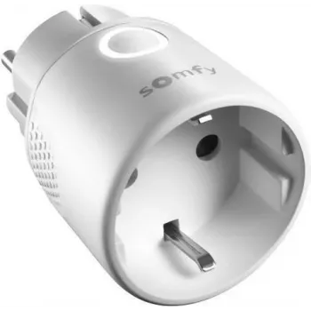 Somfy viedais kontaktdakšs - bezvadu - 868 MHz (1822618)