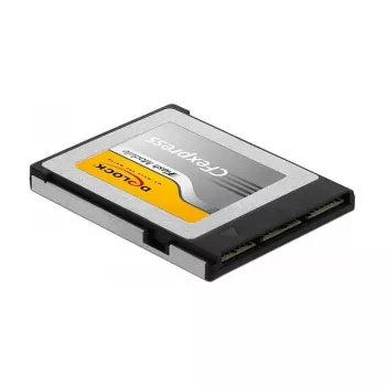 Atmiņas karte DeLOCK 54066 256 GB CFexpress