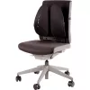 Muguras atbalsts / BACK ANGEL 8026401 FELLOWES