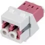 Rutenbeck Keystone modulis KMK-LC-D OM4 balts — LC Duplex OM4 šķiedras ieliktnis