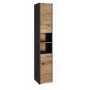 Topeshop S30 ANTRACYT/ARTISAN vannas istabas skapis