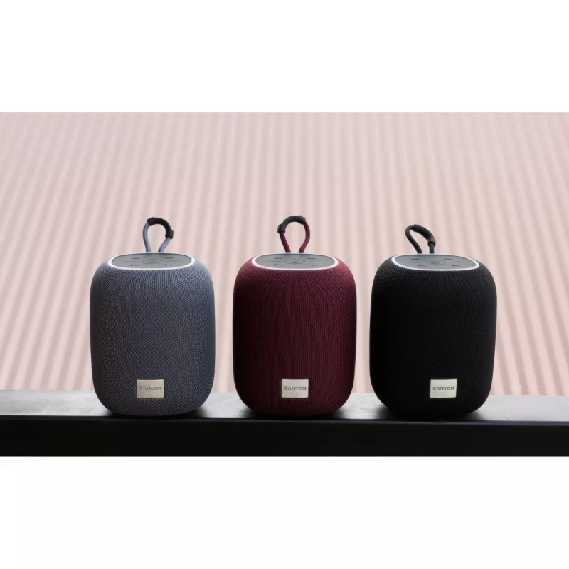 Canyon CNE-CBTSP8B Bluetooth skaļrunis melns