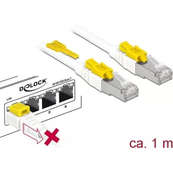Tīkla kabelis DeLOCK 85331 RJ-45 Cat6a 1 m Balts
