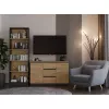 Kumode Topeshop 2D3S ANT/ART BA KPL — antracīts un ozols, 3 atvilktnes, skaidu plātnes rāmis