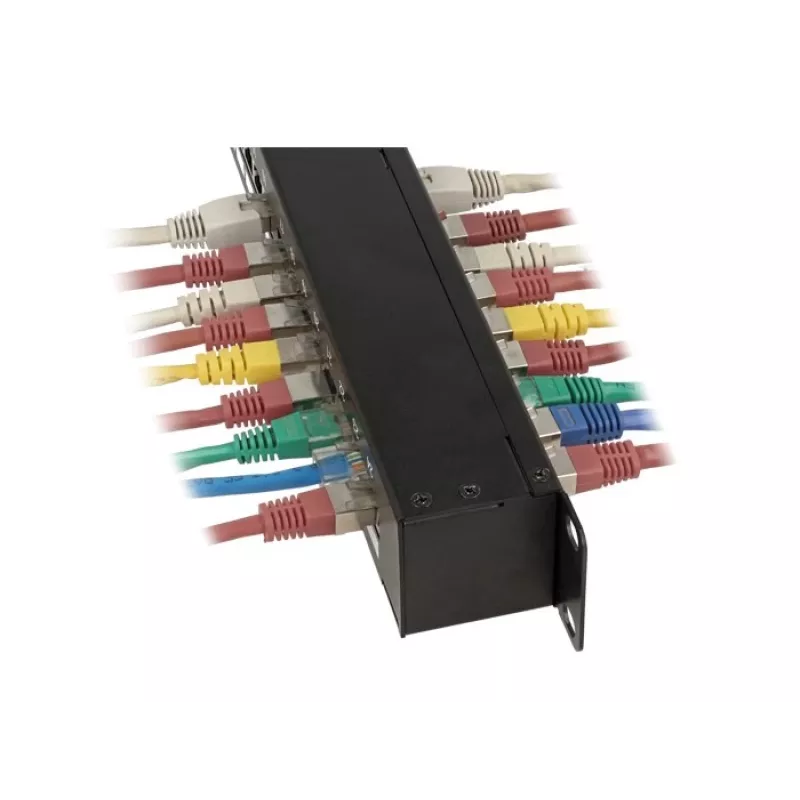 DeLOCK 43295 sadales panelis 1U