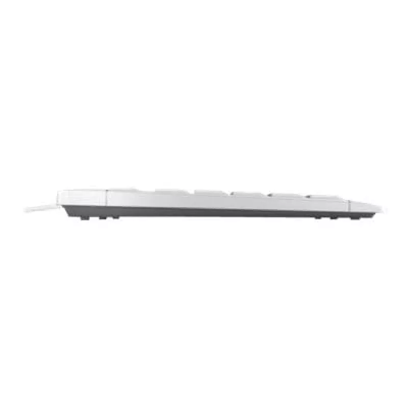 CHERRY STREAM TKL tastatūra USB QWERTZ Vācu Baltā