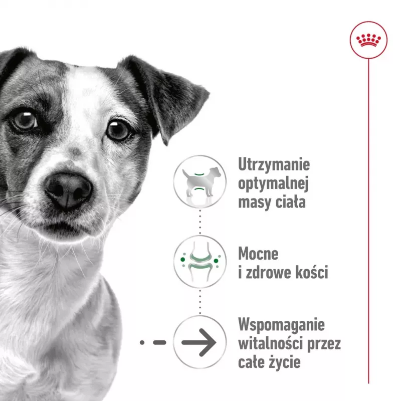 ROYAL CANIN Mini Ageing Adult +12 sausā barība suņiem - 3,5 kg
