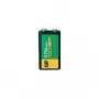 Akumulatora baterija GP 30117R9H-C1 8,4V 170mAh NiMH