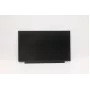 Lenovo 02HL701 13,3 collu HD TN LCD panelis ar pretatspīdumu pārklājumu, 250 cd/m²