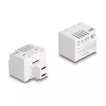 DeLOCK Keystone modulis 41479 2 x USB Type-C PD 20W Balts