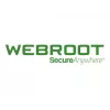 Webroot DNS Protection ar GSM konsoli | 1 gads | Licence 1-9 lietotājiem