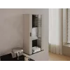 Piekaramais skapis SOHO S2 60x29x112 cm — smilškrēsns/melns