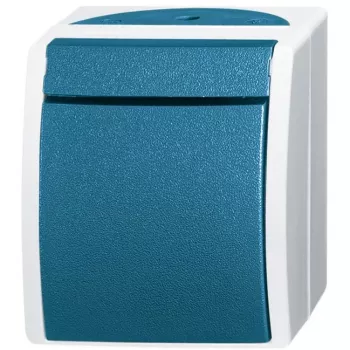 BUSCH JAEGER 2621 W-53 - Zils - Balts - IP44